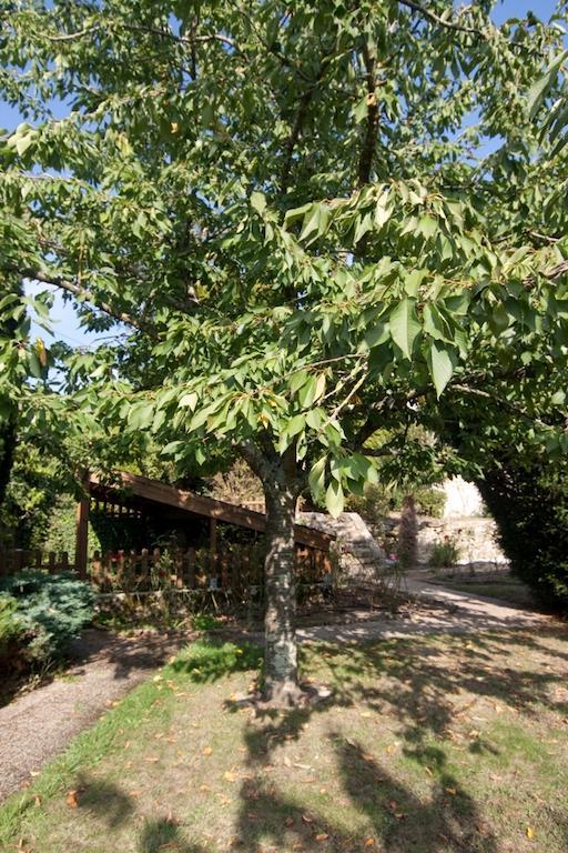 Le Petit Chateau - Tiffauges Proche Puy Dufou Exterior photo